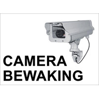 TBD 29A camerabewaking